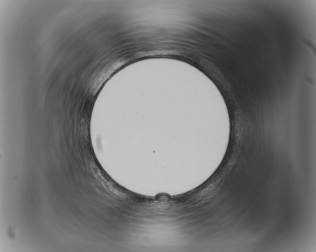 X0000103481177200810241031