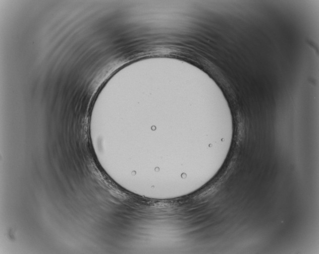 X0000103481178200810241031