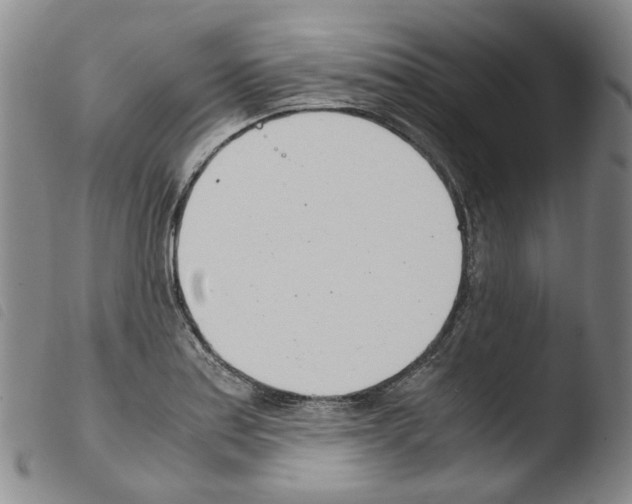 X0000103481179200810241031