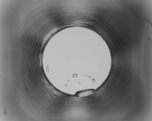 X0000103481180200810241031