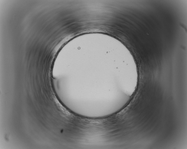 X0000103481181200810241031