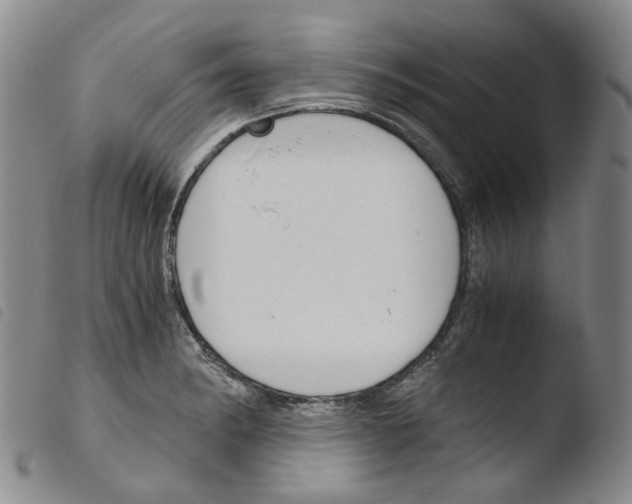 X0000103481182200810241031