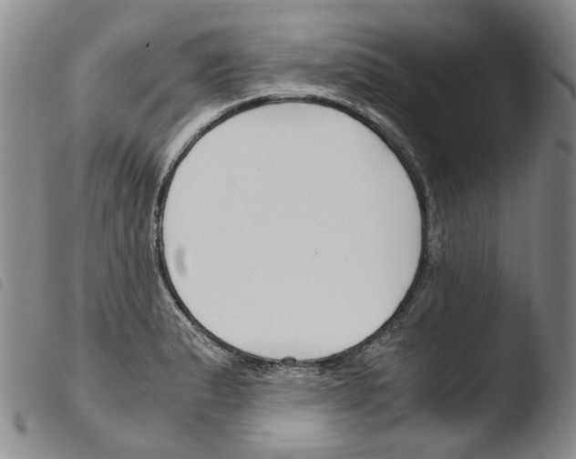 X0000103481183200810241031