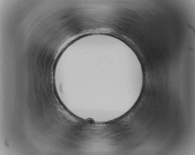 X0000103481184200810241031
