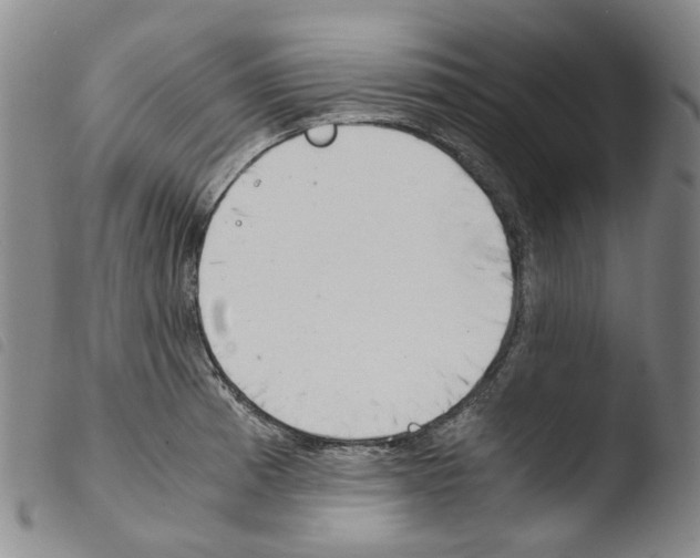 X0000103481185200810241031
