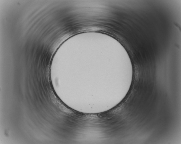 X0000103481186200810241031
