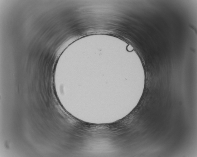 X0000103481187200810241031