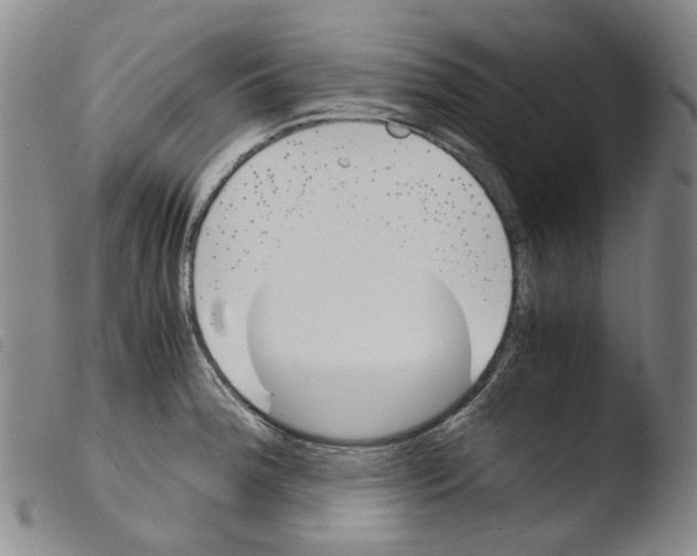 X0000103481188200810241031