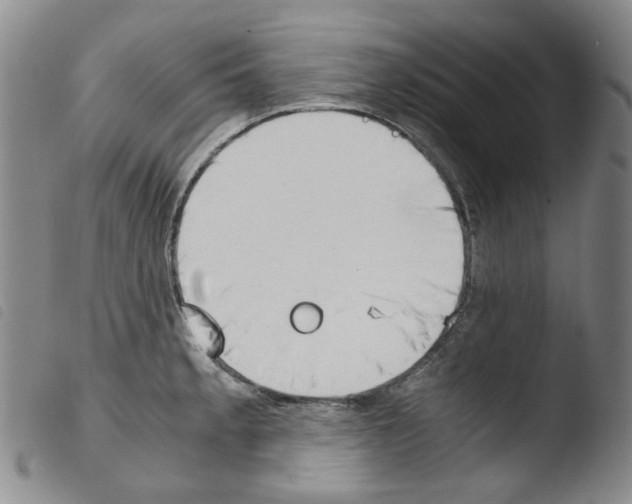 X0000103481189200810241031