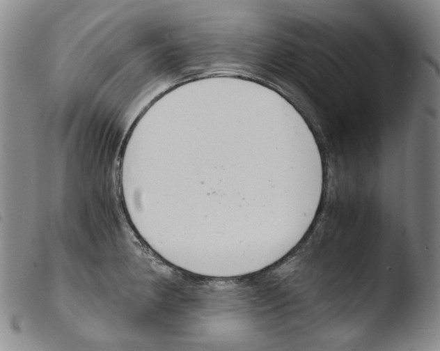 X0000103481190200810241031