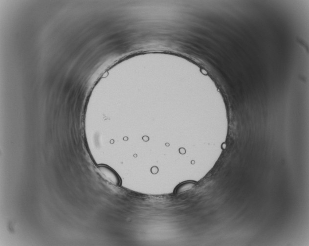 X0000103481191200810241031