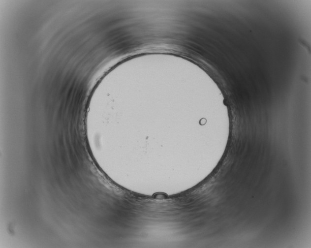X0000103481192200810241030