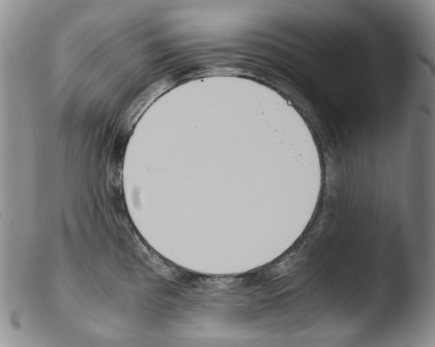 X0000103481193200810241030