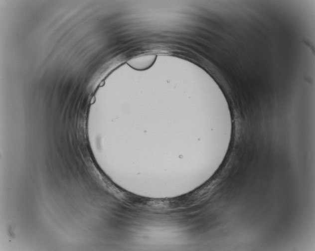 X0000103481194200810241030
