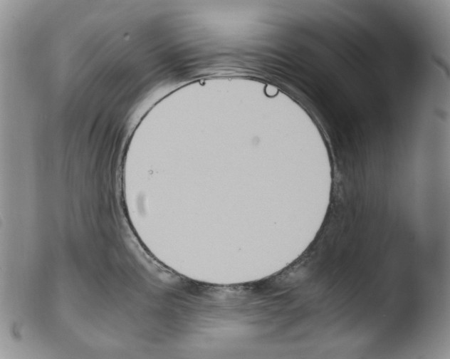 X0000103481195200810241030
