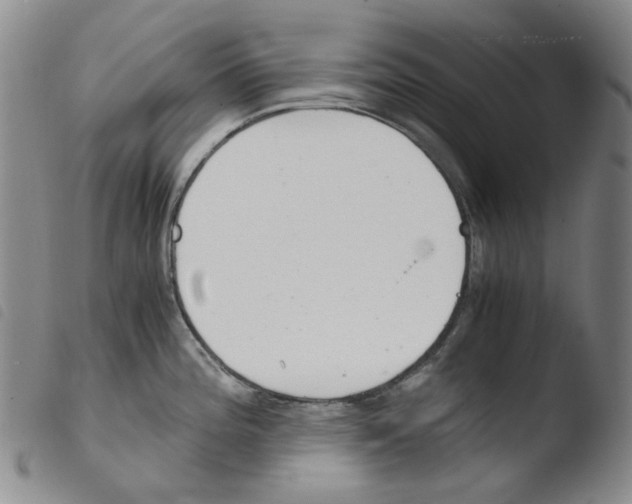 X0000103481196200810241030