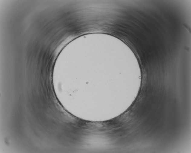 X0000103481197200810241030