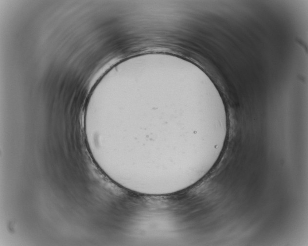 X0000103481198200810241030