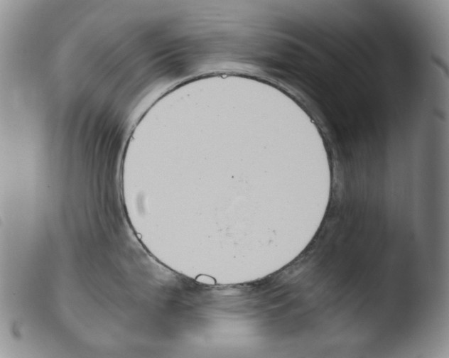 X0000103481199200810241030