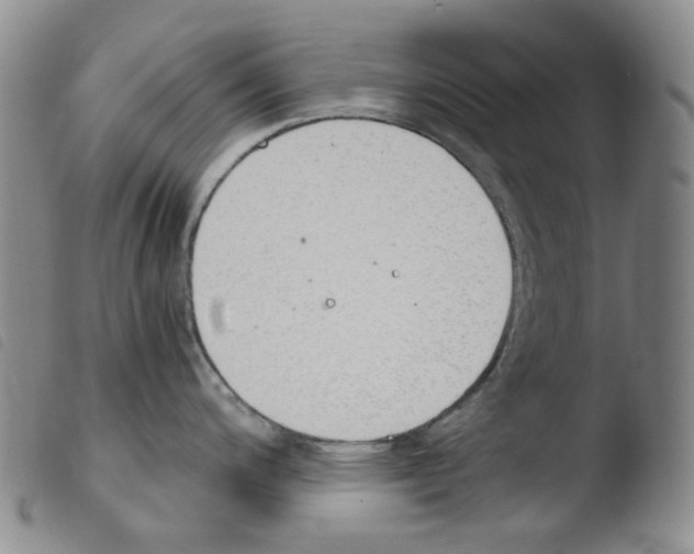 X0000103481200200810241030