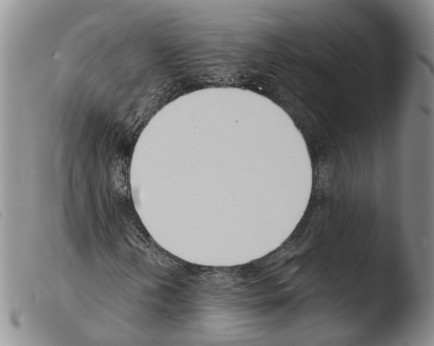 X0000103481202200810241030