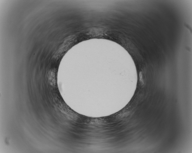 X0000103481203200810241030