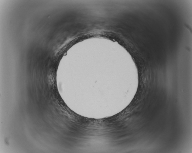 X0000103481206200810241030