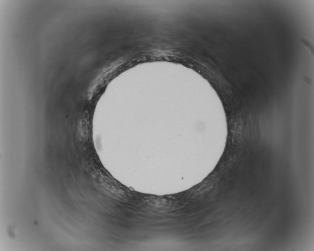 X0000103481207200810241030