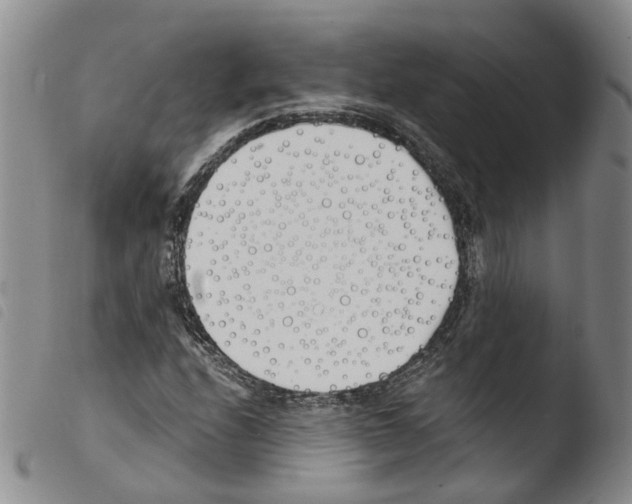 X0000103481208200810241030