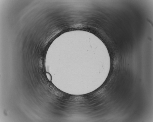 X0000103481209200810241030