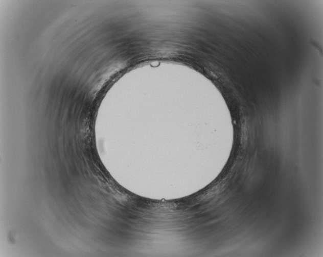 X0000103481210200810241030