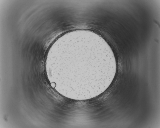 X0000103481212200810241030