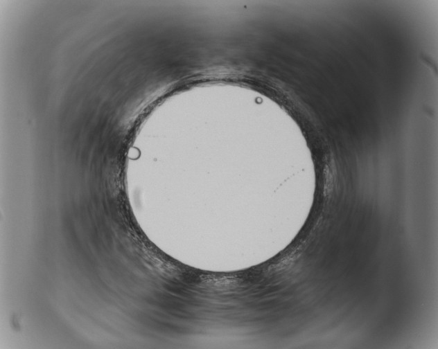 X0000103481213200810241030