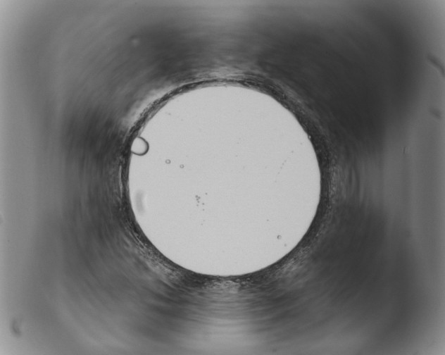 X0000103481214200810241030