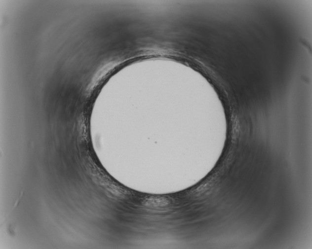 X0000103481215200810241030
