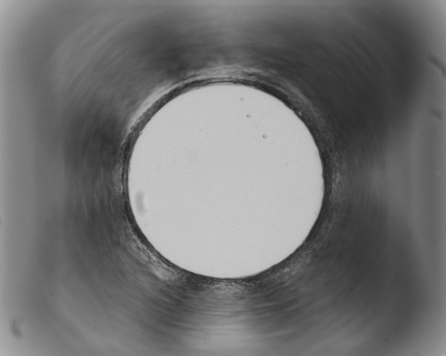 X0000103481216200810241030