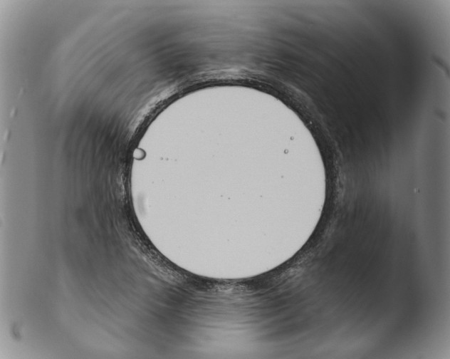 X0000103481218200810241030