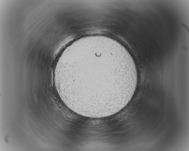 X0000103481219200810241030