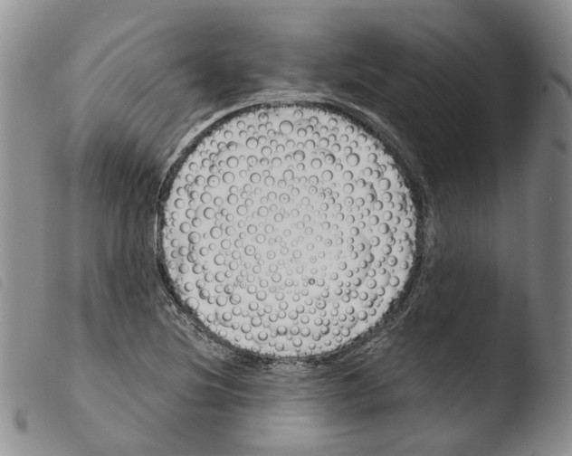X0000103481220200810241030
