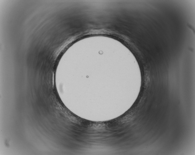 X0000103481221200810241030