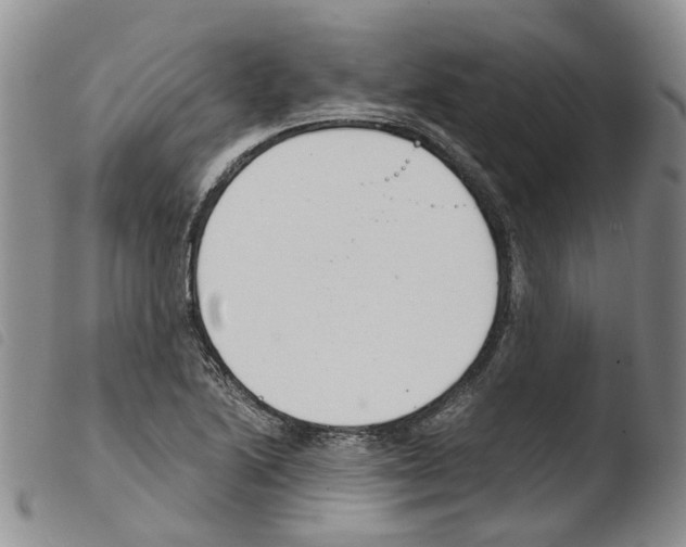 X0000103481222200810241030