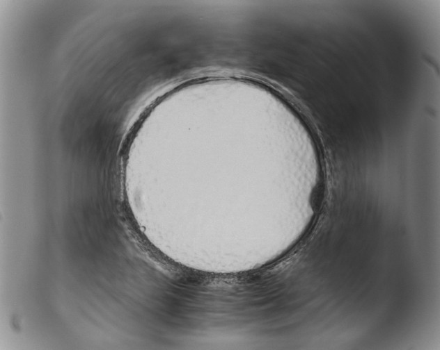 X0000103481223200810241030