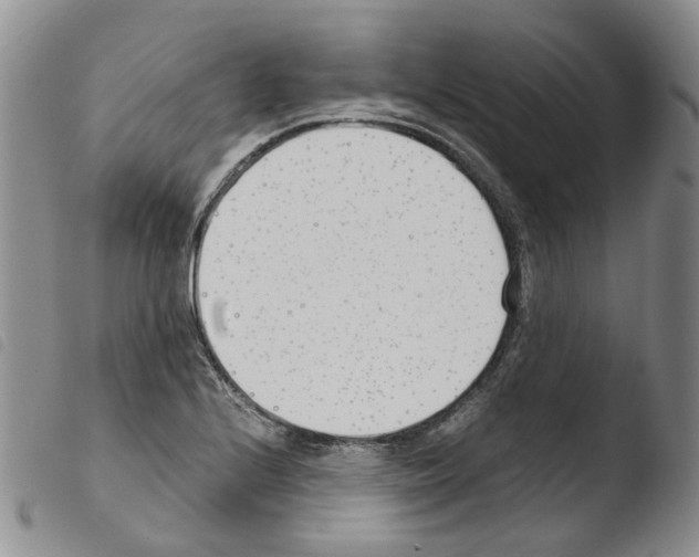 X0000103481224200810241030