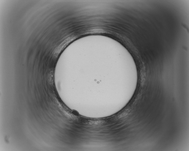 X0000103481225200810241030