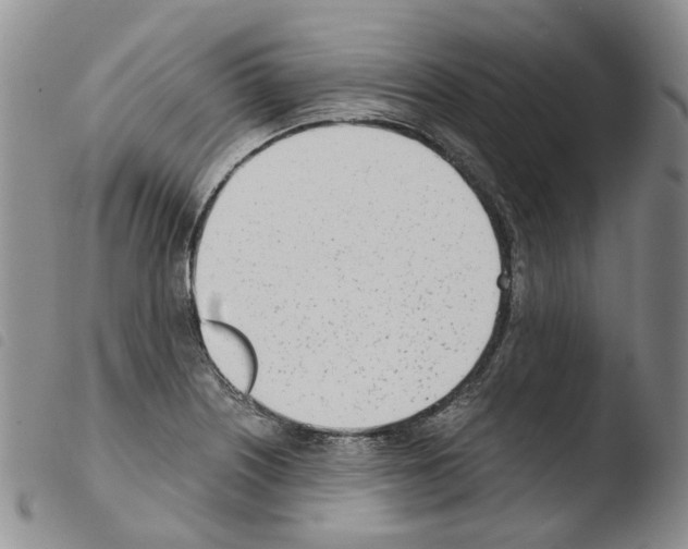 X0000103481226200810241030