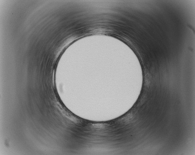 X0000103481227200810241030