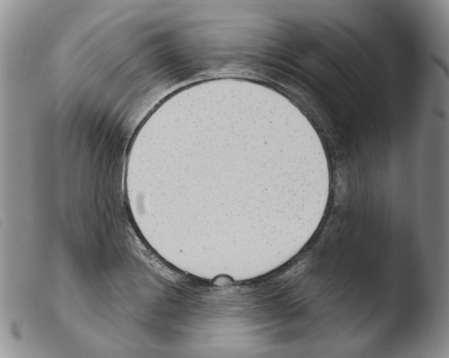 X0000103481228200810241030