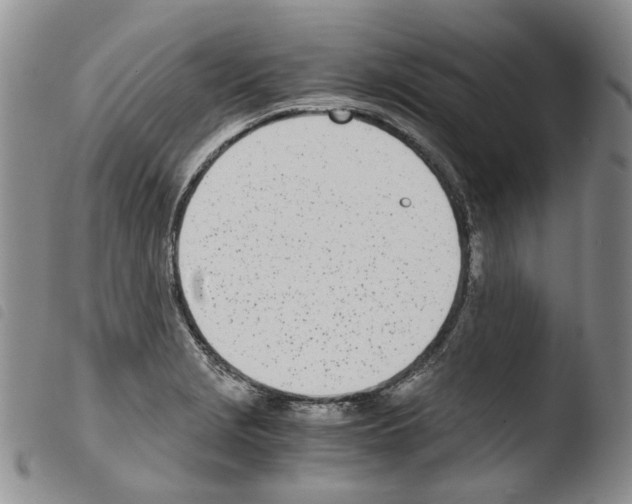 X0000103481229200810241030