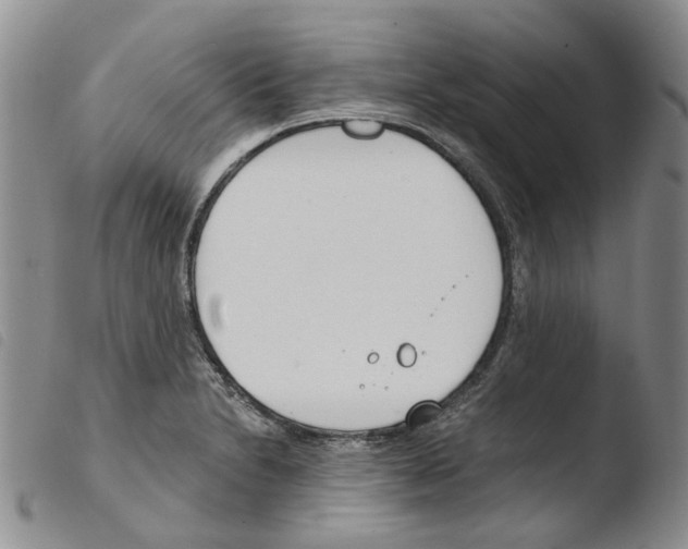 X0000103481230200810241030