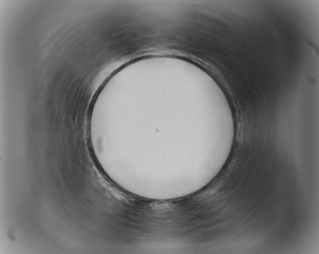 X0000103481231200810241030